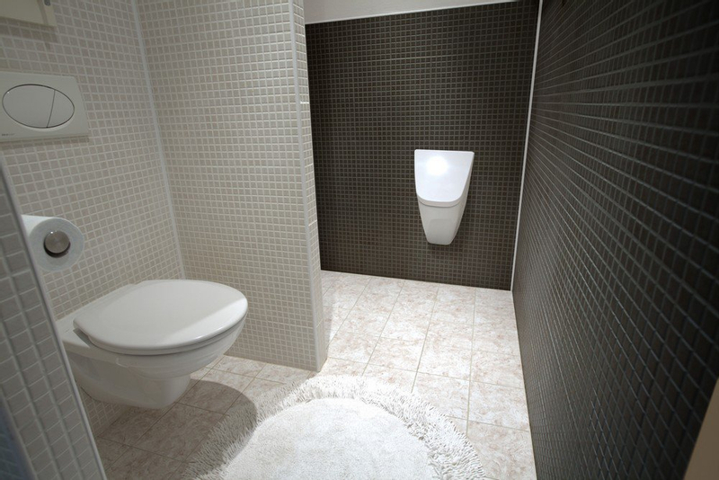 Pisoár Vila s poklopem (systém Soft-close), radarovým splachovačem a integrovaným zdrojem, 230 V AC SLP 37RZ