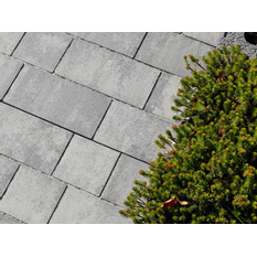Dlažba betonová Best Belisima, výška 8 cm, sametový UV colormix brilant