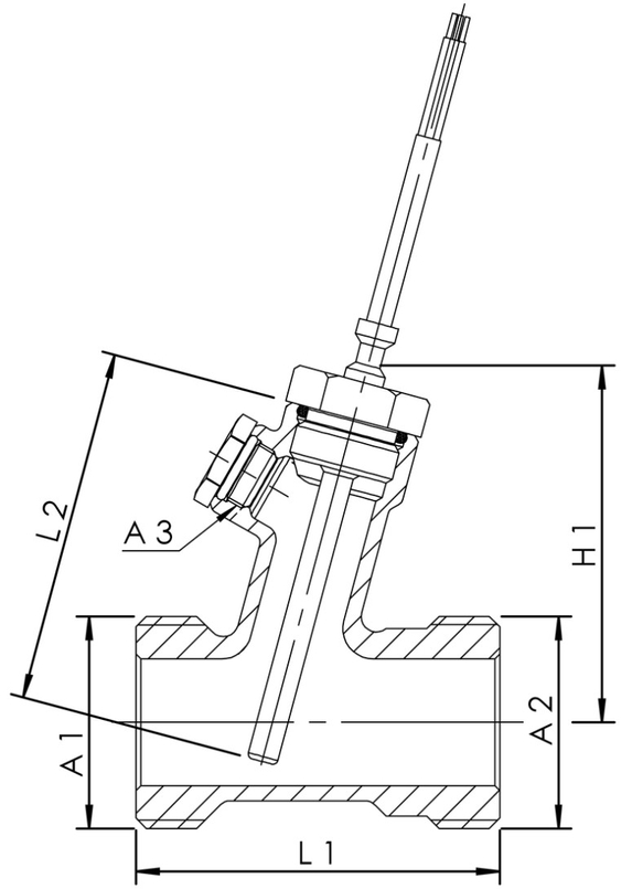 Armatura měření teploty Pt 1000 Kemper KHS, DN 15