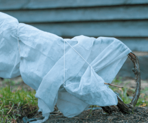 Zazimování zahrady – návod a produkty