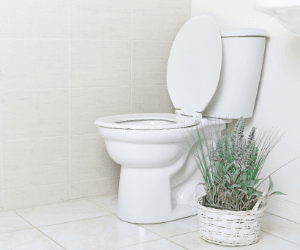 WC, záchody, toalety