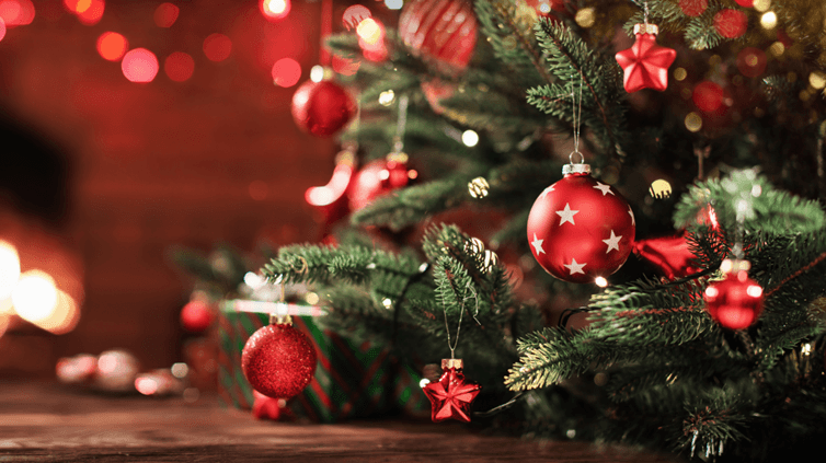 Obsah obrázku vánoční stromeček, vánoční dekorace, Vánoční ozdoba, strom

Obsah generovaný pomocí AI může být nesprávný.